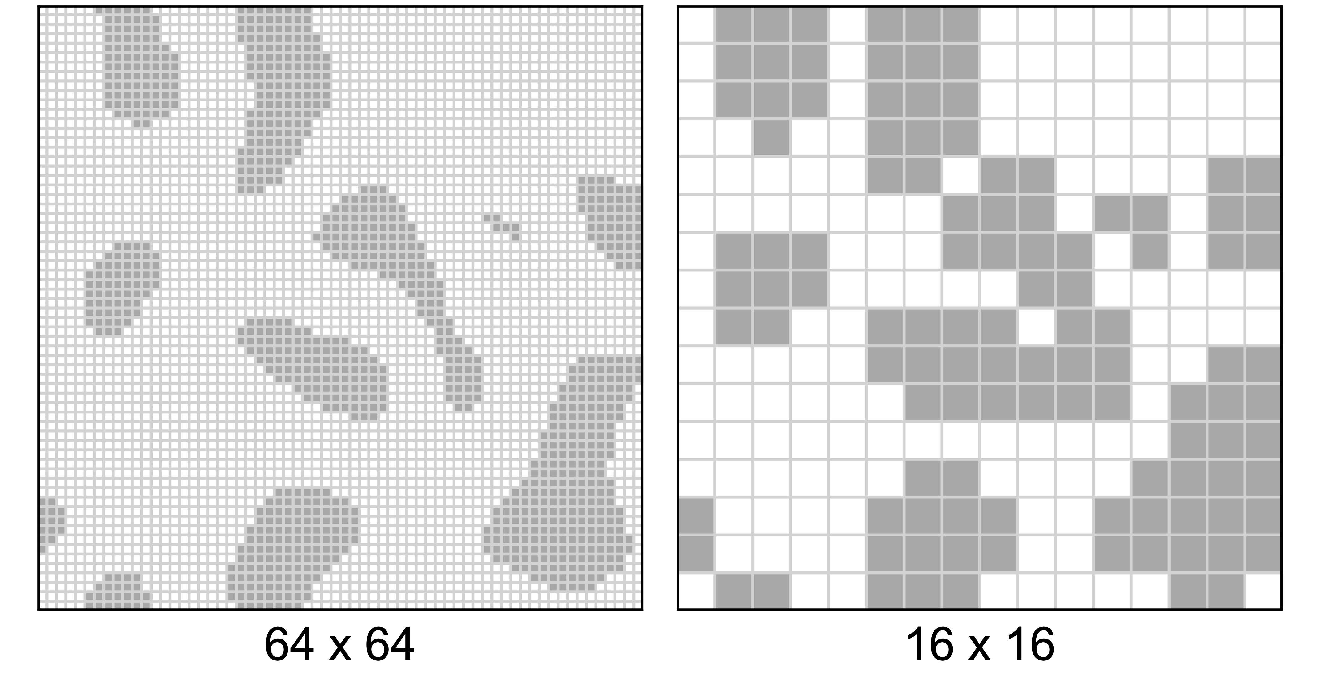 occupancy grid